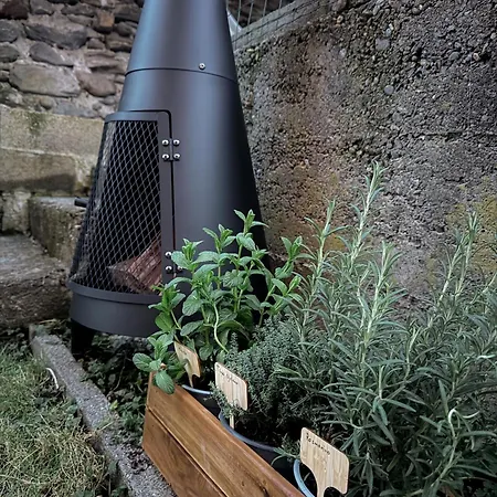Il Cuore Della Valtellina - Giardino Privato *